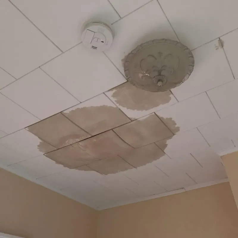 Ceiling Water Damage Repair in La Harpe, IL