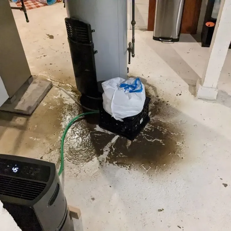 Sewage Backup Cleanup Service in La Harpe, IL